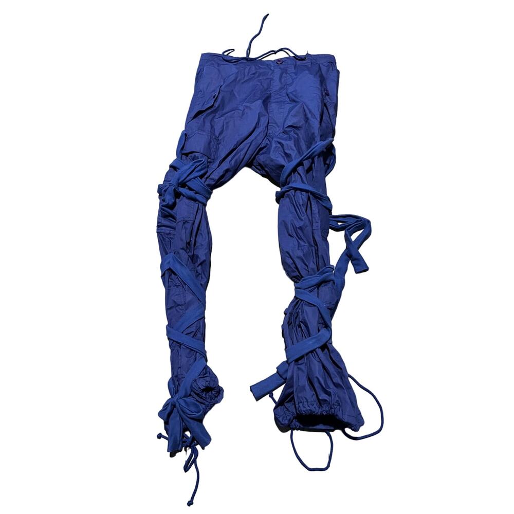Blue Pants (Kehlani BWR tour pants)